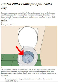 How to Prank Your Friends poster 2