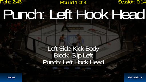 UFC Heavy Bag / Shadow Boxing Screen 2