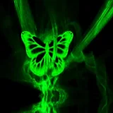 3D green butterfly icon
