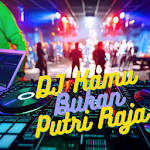 Cover Image of Download DJ Kamu Bukan Putri Raja free  APK