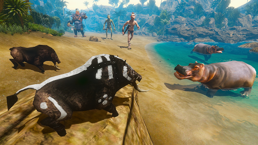 Boar King Life Simulator Screen 3