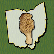 Ohio Mushroom Forager Map Morels Chanterelles