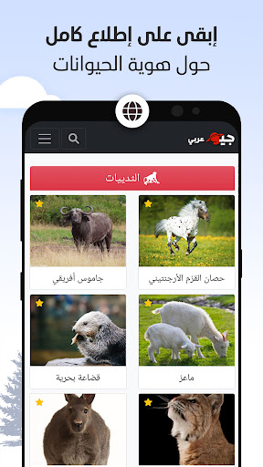 Android application بطاقة الحيوانات screenshort