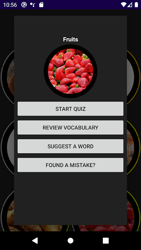 Swedish Vocabulary Screen 3