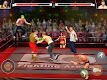 screenshot of Beat Em Up Wrestling Game