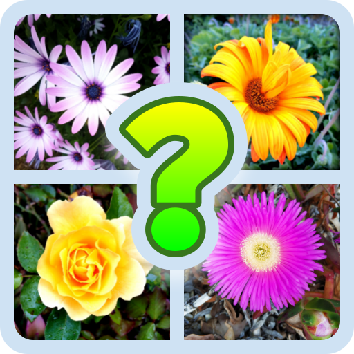 The Flower Name Quiz