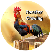 Top 39 Music & Audio Apps Like Rooster Crowing Sounds - Ringtones & Alarms - Best Alternatives