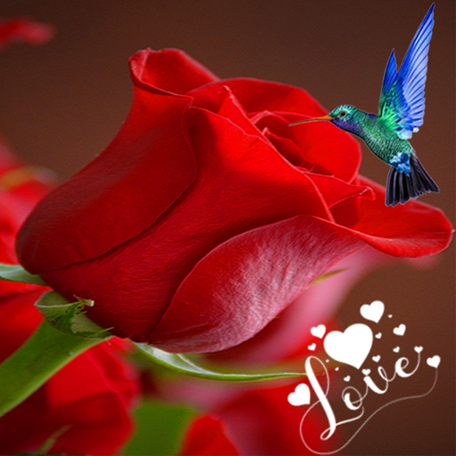 Roses and beautiful flowers logo