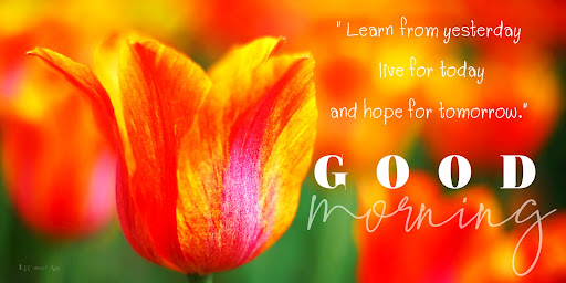 Android application Good Morning screenshort
