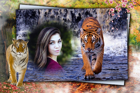 Tiger Photo Frame : For Pc – Free Download In Windows 7/8/10 And Mac Os 2