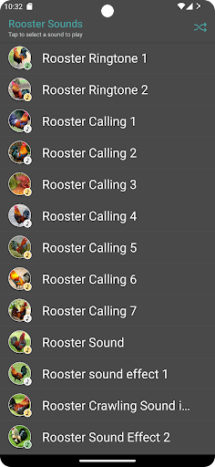 Rooster Sounds Screen 2