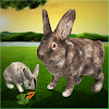 Ultimate Rabbit Simulator Game icon