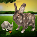Cover Image of Descargar Simulador de conejo definitivo  APK