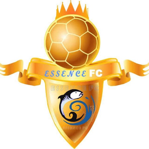ESSENCE FOOTBALL ACADEMY logo