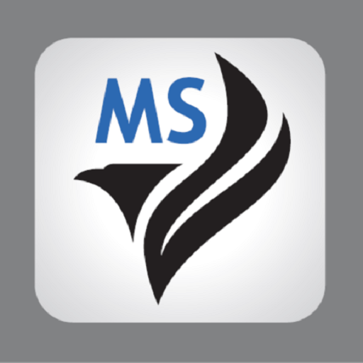 MSFalcon 241 logo