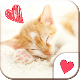 Cute wallpaper★Sleeping Cat icon