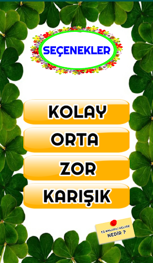 Eş Anlamlı Kelimeler Oyunu Screen 3