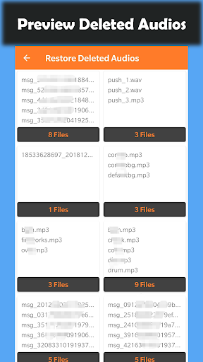 Deleted Audio Recovery Screen 3