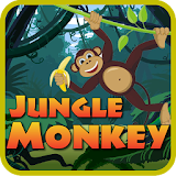 Jungle Monkey New icon