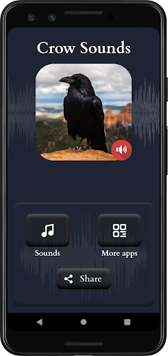 Crow Sounds Screen 2