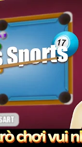 Billiards Sports