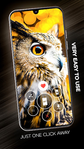 Birds Wallpapers in 4K Screen 2