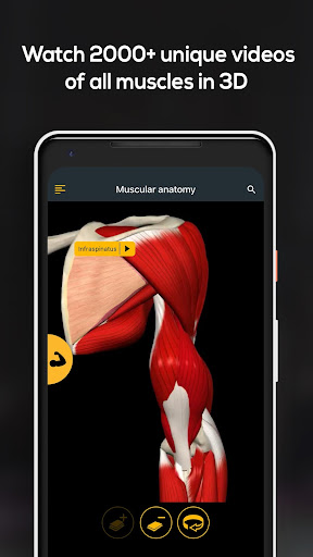 Screenshot of Anatomy by Muscle & Motion