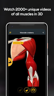 Anatomy by Muscle Motion