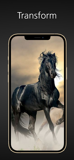 Black Horse Wallpaper Screen 3