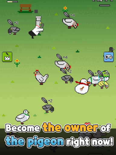 Pigeon Raising 3.0.31 screenshots 1