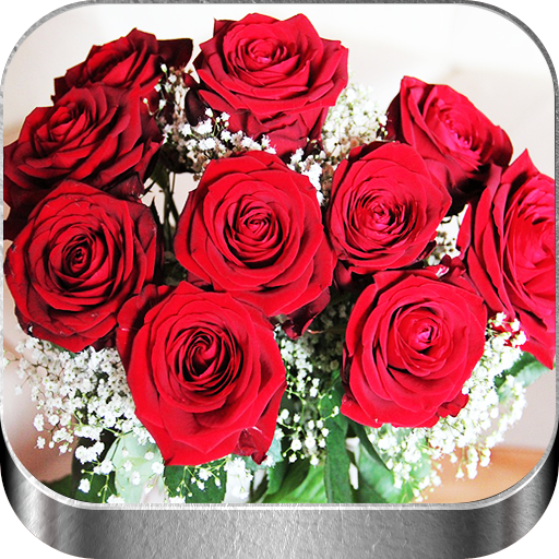 Flores y Rosas Rojas imágenes - Aplicaciones en Google Play