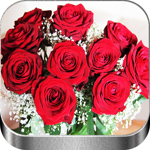 Flores y Rosas Rojas imágenes logo