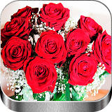 Flores y Rosas Rojas imágenes Gratis icon