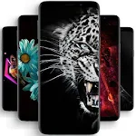 Cover Image of Download Amoled Wallpapers 1.0 APK