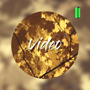 Autumn Video Wallpapers