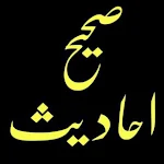 Cover Image of Tải xuống اسلامی لائبریری اردو 1.0.1 APK
