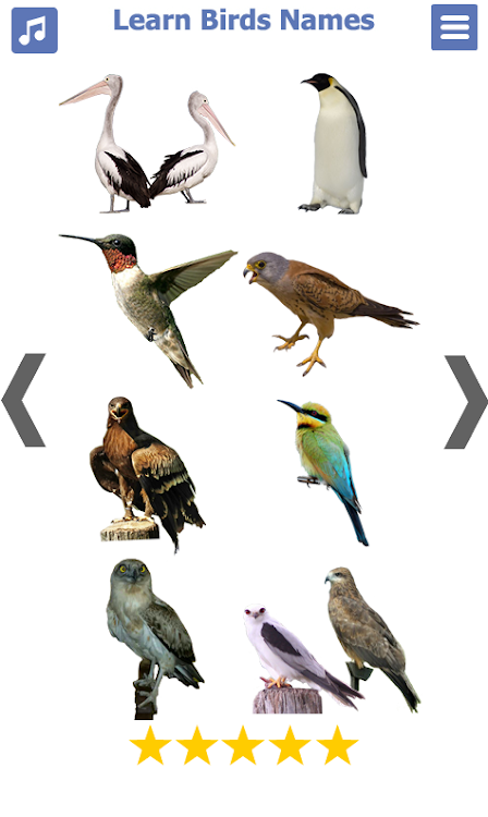 Разбор имени птица. Имена птиц.