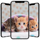 تصویر زمینه بچه گربه دانلود در ویندوز