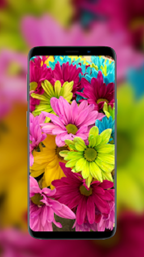 Android application Flower Wallpapers - HD & 4K screenshort