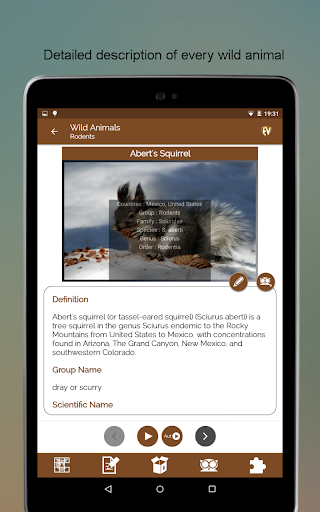 Screenshot of Wild Animals