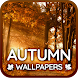 携帯電話用秋の壁紙4K - Androidアプリ