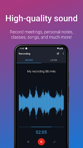 Easy Voice Recorder Pro Screenshot 2