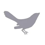 The Bird House icon