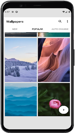 Wallpapers App Screen 2