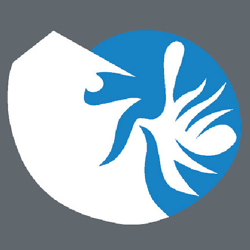 An Cường Phiếu CAR logo