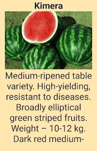 Watermelon Kaleidoscope