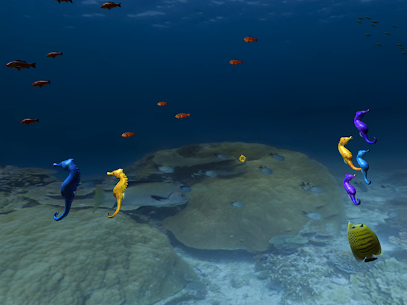 Aquarium VR For PC installation