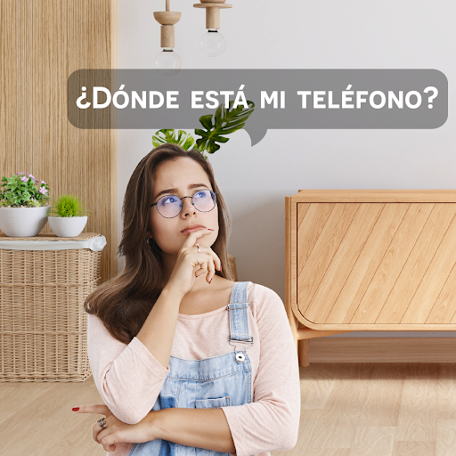 Vista previa de la aplicación