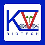 KV Biotech