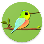 Hummin' Bird